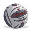 Vinex Volleyball - Champion